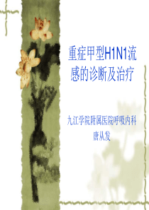 11月19日呼吸内科唐从发主任《重症甲流的诊断及治疗》下载