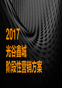 2017.8.9 光谷鑫城地产项目 阶段性营销方案