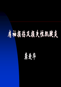 肩关节肌肉肩袖损伤ppt课件