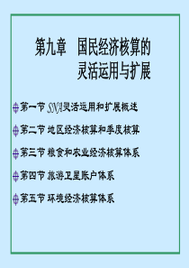 国民经济核算原理与中国实践第9章