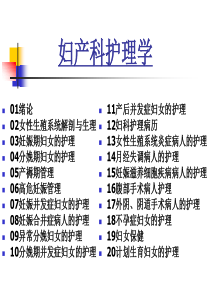 妇产科护理学(全套课件上)