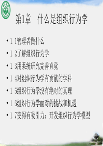 组织行为学全套课件罗宾斯版本