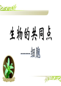 细胞的结构