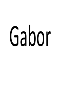 Gabor纹理提取总结