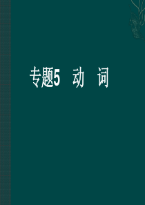 2011年中考英语复习课件专题5 动词