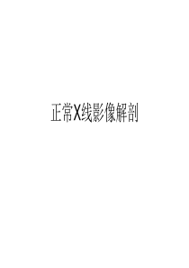 正常X线影像解剖