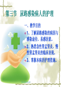 尿路感染的护理.ppt