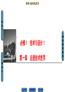 通用技术总复习课件：必修1 第1章 走进技术世界