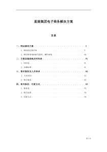 星湖集团电子商务解决方案(1)