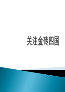 关注金砖四国(2010)