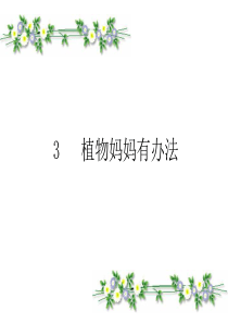 3植物妈妈有办法___优秀课件