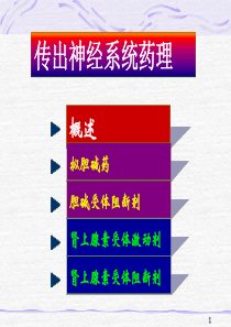 最新：最新：6传出神经系统药理-文档资料-文档资料