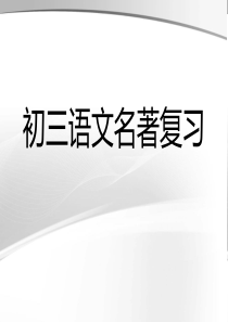 初三语文名著复习精华版