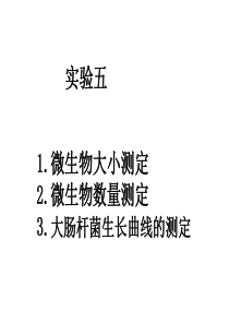 微生物实验 微生物 数量和大小测定