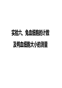 兔血细胞计数