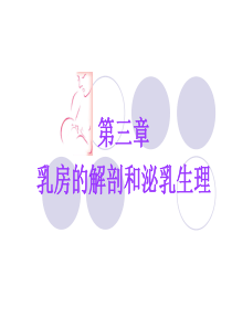 爱婴医院18小时培训课程-第三章：乳房的解剖和泌乳生理