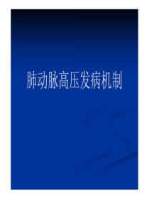 肺动脉高压发病机制_图文.ppt