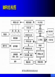 MRI结构图