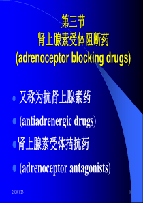 09肾上腺素受体阻断药1