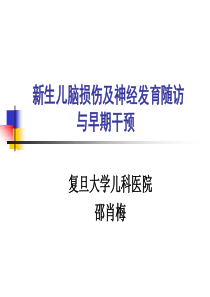 新生儿脑损伤与神经发育评估及早期干预-061106福州