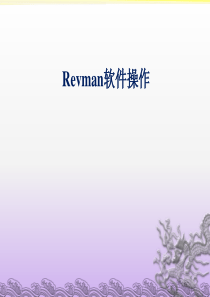 Revman5.3软件操作 最新