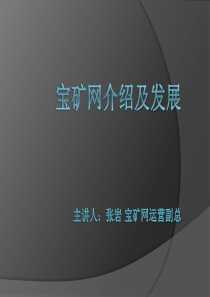 宝矿网XXXX年发展规划