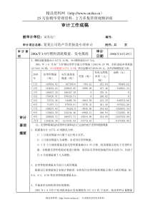 审计底稿-燃料消耗数量发电煤耗