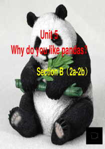 新课标英语七年级下 Unit5 why do you like pandas  sectionB 2