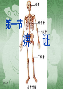 中医内科学--第一节  痹证