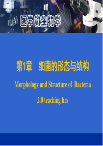 Chapter01 Morphology and Structure of  Bacteria