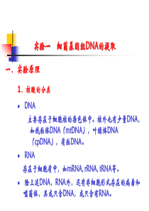 细菌基因组DNA的提取