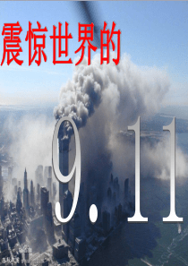 911事件原因后果