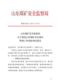 山东煤矿安全监察局关于规范山东煤矿冲击地压管理工作的指导的意见