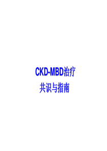 CKD-MBD治疗共识与指南