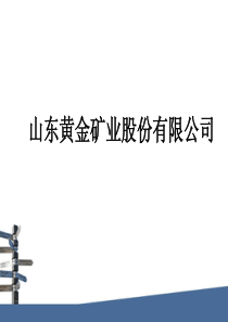 山东黄金矿业股份有限公司财报分析