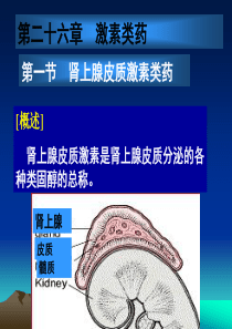 药理学课件第二十六章 第一节 肾上腺皮质激素