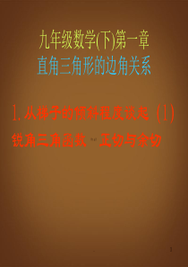 甘肃省临泽县第二中学九级数学下册 第一章《从梯子的倾斜程度谈起》课件(1) 北师大版