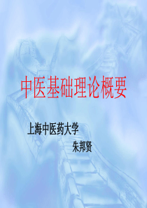 中医基础理论概要(一)