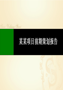 2017商业地产前期策划报告模板