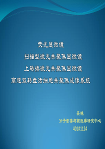 激光共聚焦显微镜的样本