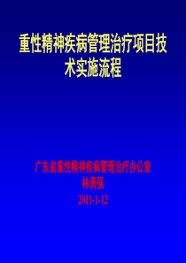 重性精神疾病监管治疗项目流程