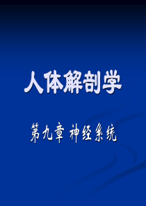 人体解剖学第九章神经系统周围神经系统