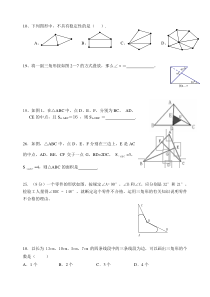 浙教版七下数学――三角形的初步知识提高题 (从近两百份期中试卷收集整理)