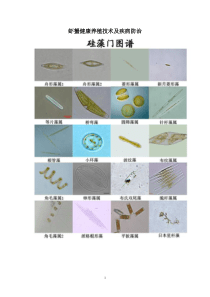 虾蟹健康养殖技术及疾病防治概要