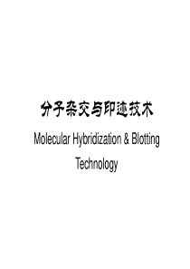 自学内容2---分子杂交技术