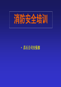 安办消防安全培训资料资料