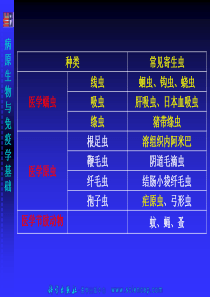 病原生物与免疫学-常见寄生虫