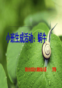 小班生成课题：蜗牛