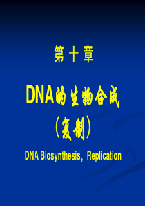 DNA的生物合成-复旦大学生物化学PPT课件