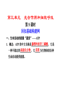 2012届高考生物第一轮单元知识点复习3